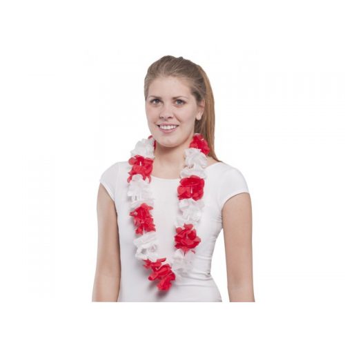 Foto - květy havajské bíločervené