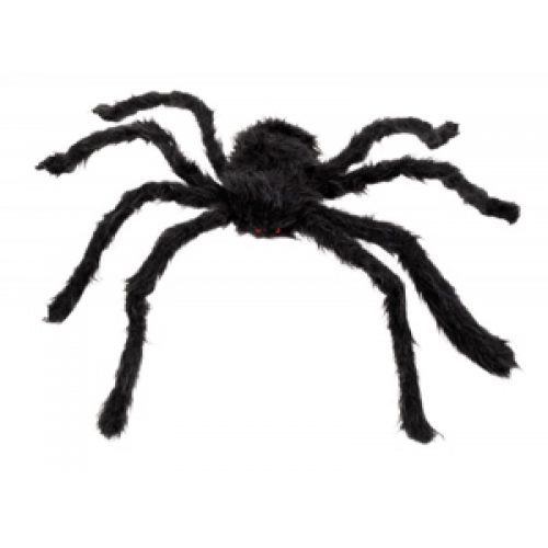 Foto - pavouk gigant černý