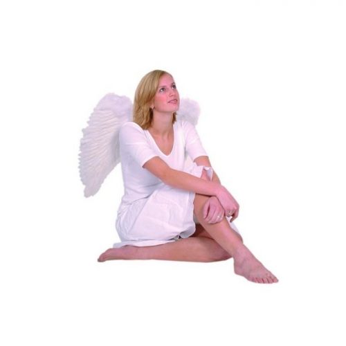 andělská křídla 53 x 56 cm
