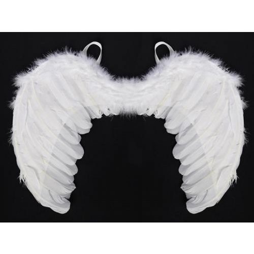 křídla andělská malá bílá