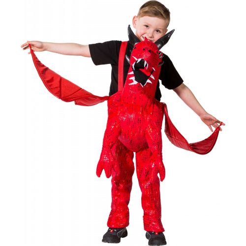 Foto - dětský kostým jezdec na drakovi